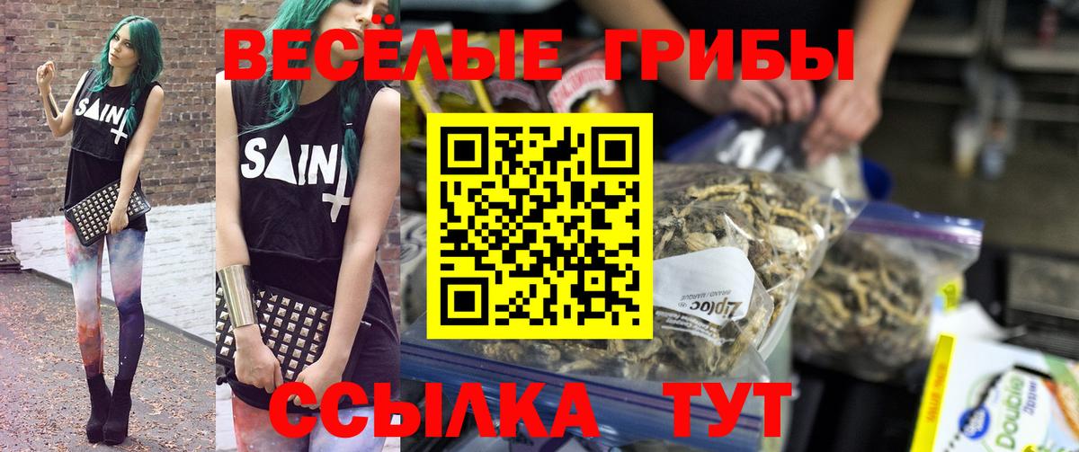 наркотики  Вход с VPN  Касимов  Псилоцибиновые грибы GOLDEN TEACHER  Галлюциногенные грибы MAGIC MUSHROOMS 