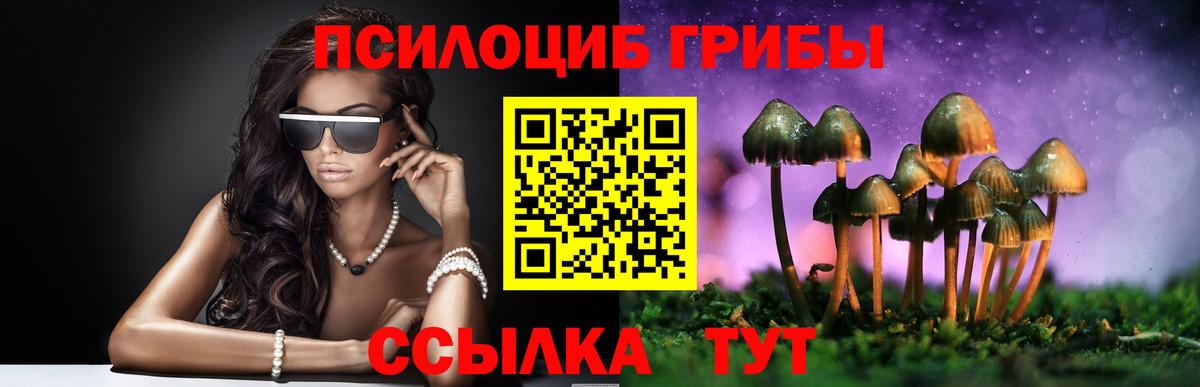 Галлюциногенные грибы мицелий Касимов